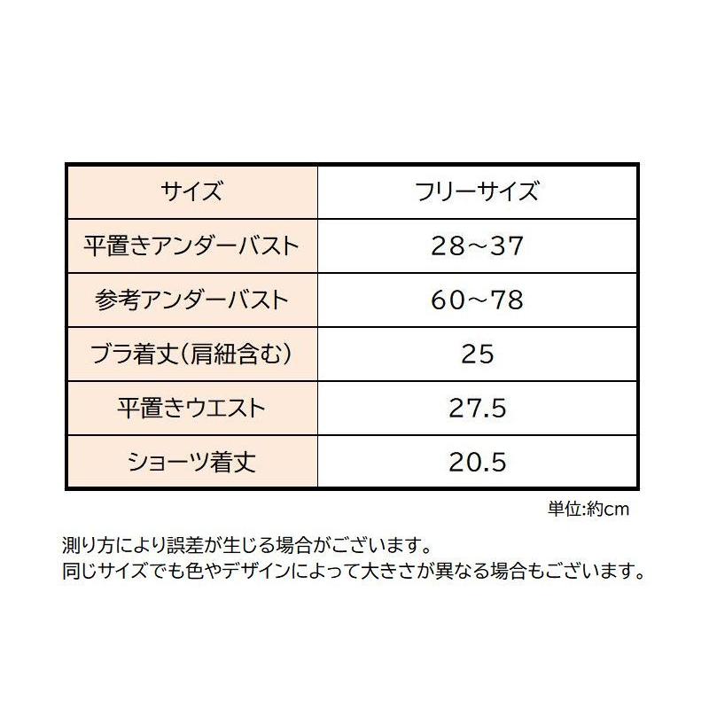 plusnao 上下セット ジュニアブラ キッズブラ スタンダード plusnao 上下セット ジュニアブラ キッズブラ スタンダード