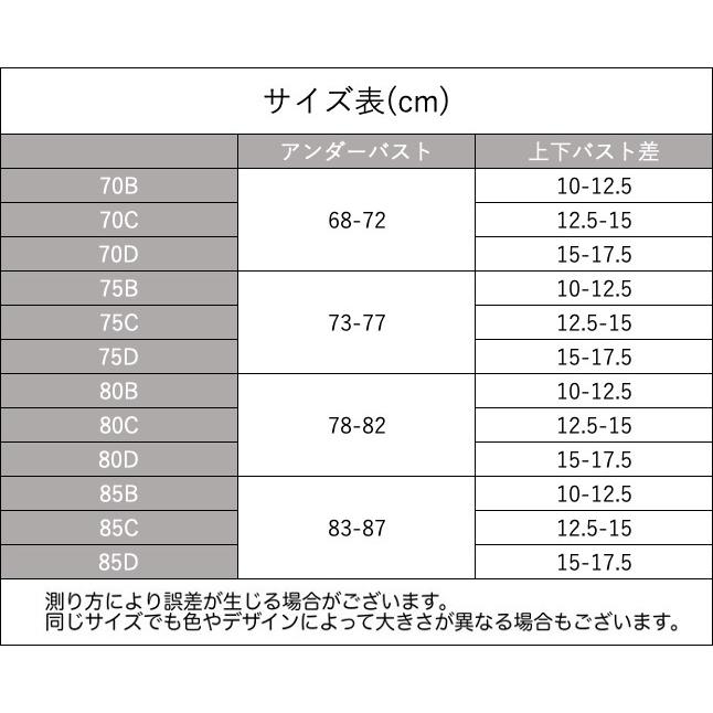 パンツ4点セット（バラ売り不可） 楽天市場】レディース ブラジャー ショーツ 上下 セット ブラ