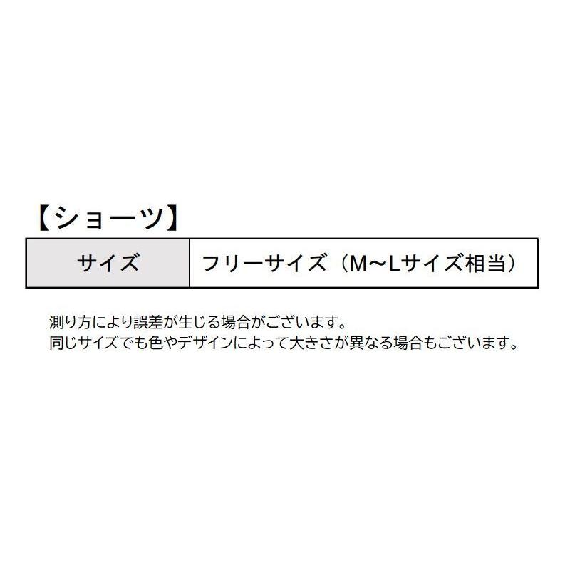 ブラジャー ショーツ 上下セット レディース 女性用 婦人用 下着 インナー 3/4カップ レース リボン 花柄 フラワー 3段ホック ストラップ調節｜plusnao｜10