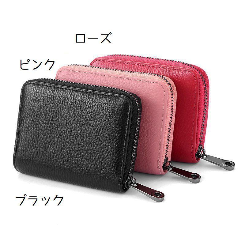 plusnao（プラスナオ） クレジットカード入れ 名刺入れ 名刺ケース