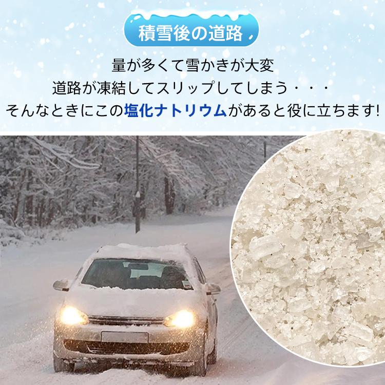 融雪剤 凍結防止剤 塩化ナトリウム 15kg 粒状 固形タイプ RSF 道路 雪対策 大雪 冬 融雪用 凍結防止用｜plusnao｜02