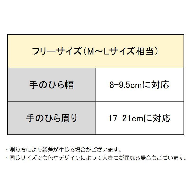 手袋 グローブ スキー スノボ レディース 5本指 滑り止め 防水 裏起毛 厚手 保温 防寒 防風 スポーツ アウトドア 冬 雪 | ブランド登録なし | 15