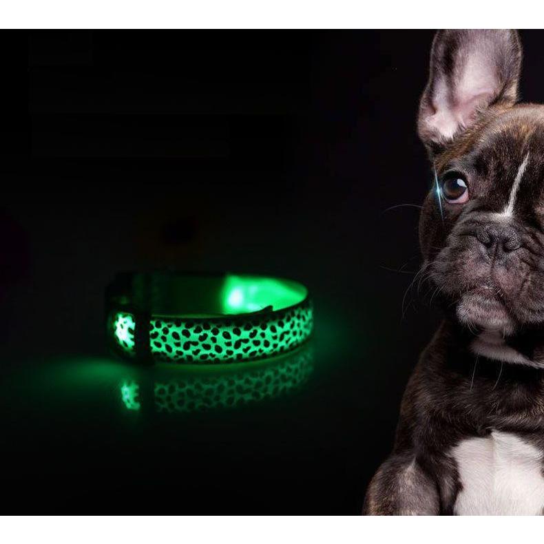 plusnao 首輪 犬用 単品 LEDライト 光るドッグ イヌ わんこ