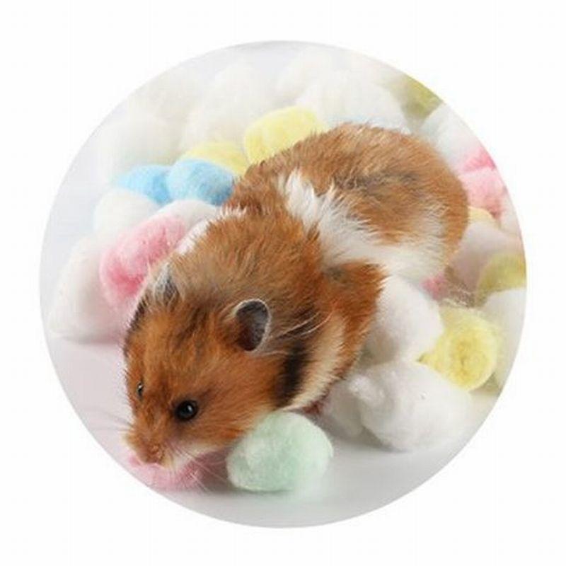 plusnao ハムスター用巣作り綿 巣作り 綿 ハムスター用 お布団 お  