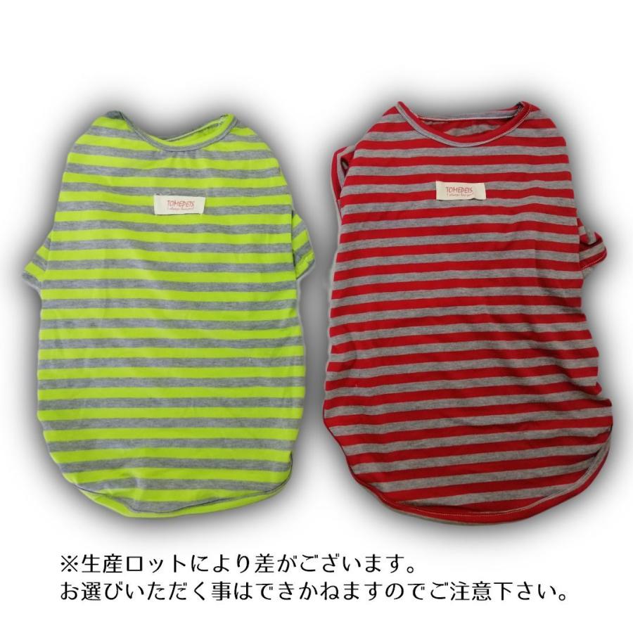 ドッグウエア ペットウエア 犬 犬服 洋服 Tシャツ ボーダー ストライプ