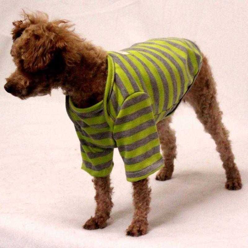 ドッグウエア ペットウエア 犬 犬服 洋服 Tシャツ ボーダー ストライプ