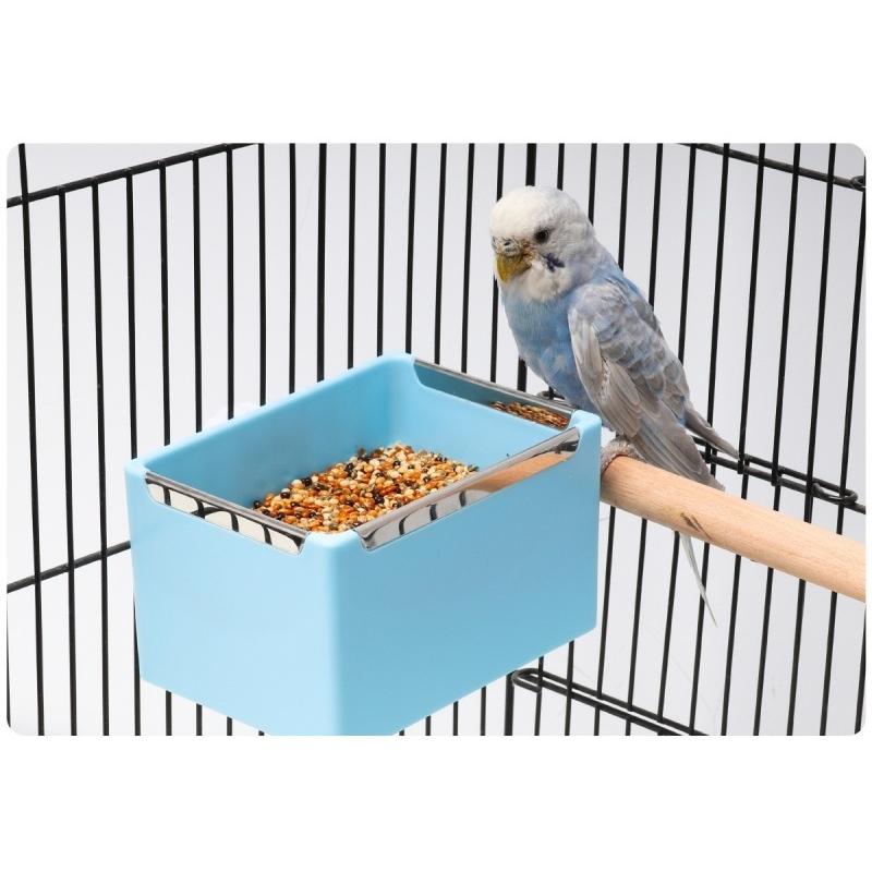 オーダー受付　わんことインコ　ご予約ページ　9/29 大型インコ完全飼育 | 株式会社誠文堂新光社