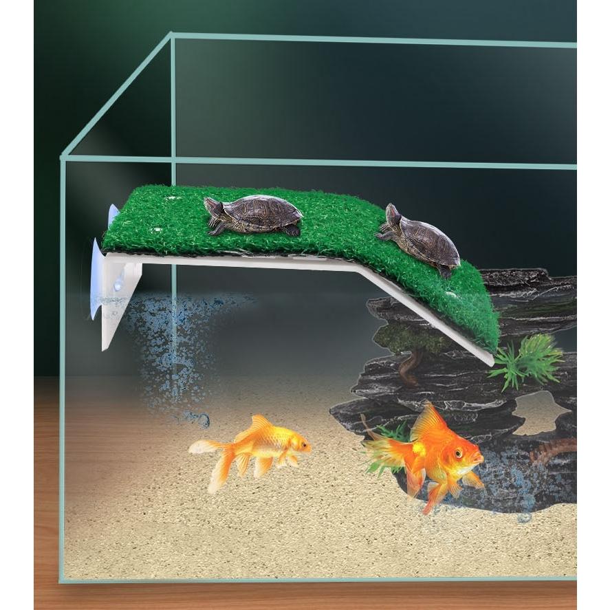 爬虫類 リクガメ 亀 魚 熱帯魚水槽 ビオトープ 60cm 蛍光灯付き