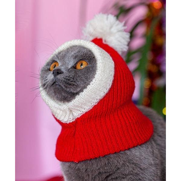 plusnao（プラスナオ） ペット用帽子 ペット用コスプレグッズ 猫 ネコ
