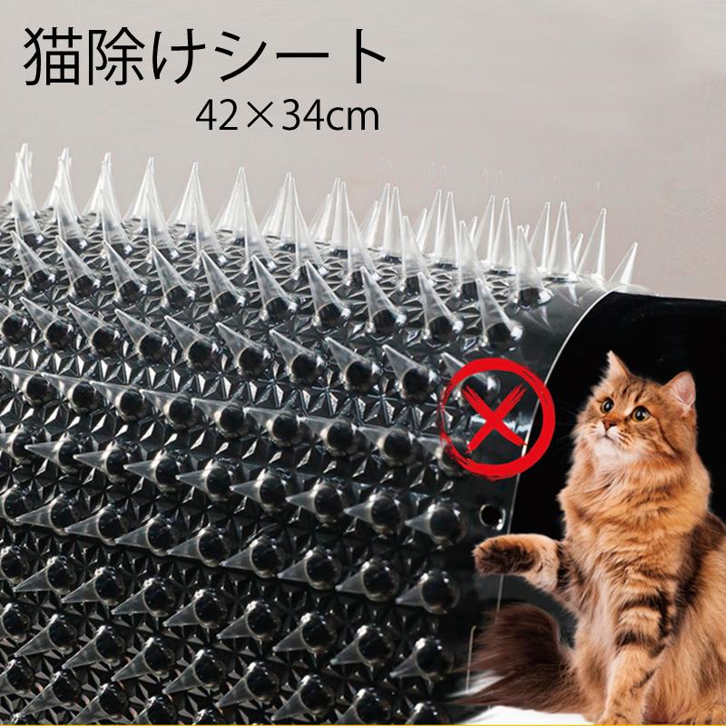 とある猫様せんよう とある猫様せんよう 📣🐈‍⬛ 作品集『黒猫と首輪』