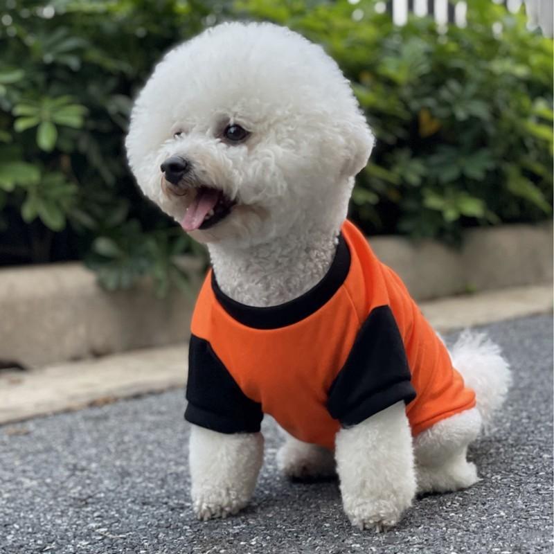 ドッグウェア ペットウェア Tシャツ カットソー 犬の服 犬服 洋服 ペット用品 小型犬 トップス 袖付き 袖あり 英字 ロゴ プリント 王冠 肉球｜plusnao｜04