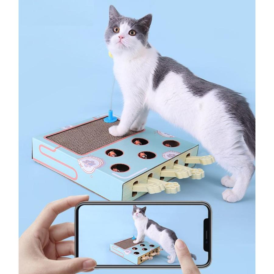 necodon ねこどん うとうと猫 お花付き キーホルダー 泉匡範 猫