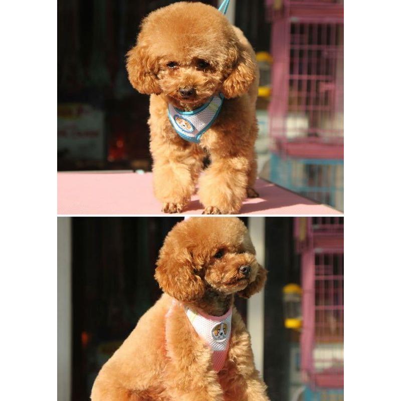 ハーネス リード ２点セット ペット用 犬用 猫用 胴輪 ベスト風 ソフト 裏メッシュ リボン ボタン お散歩グッズ 小型犬 かわいい ボーダー チェ プラスナオ Paypayモール店 通販 Paypayモール