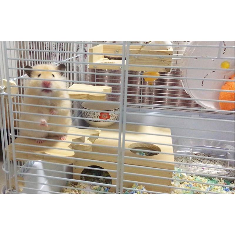 小動物用 ステップ 階段 足場 ケージに固定 取り付け かじり木 丸 半円