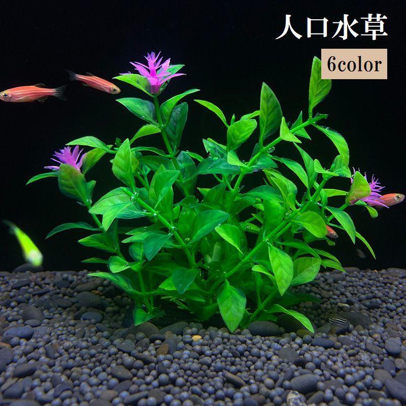 魚 人口水草 Amazon.co.jp: 水草 人工 水槽用 水草セット (12本セット) メダカ ベタ