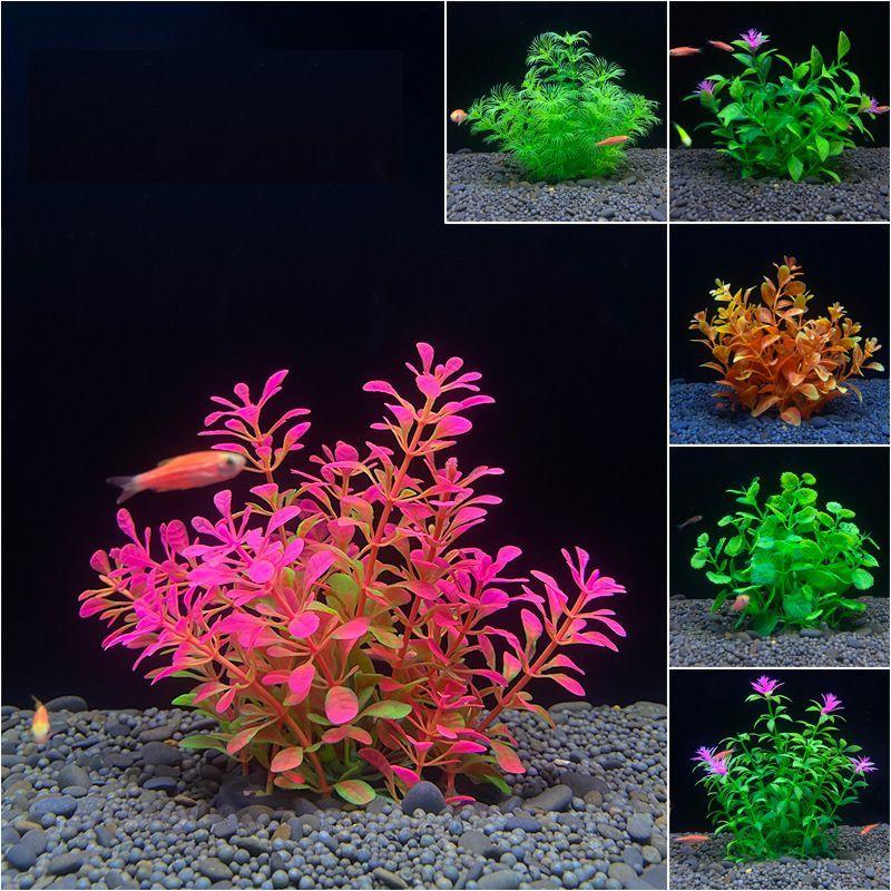 人工水草 人口プランツ アクアティックプランツ 生き物 熱帯魚 メダカ