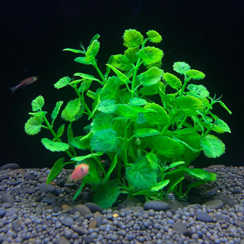 魚 人口水草 人工水草 人口プランツ アクアティックプランツ 生き物 熱帯魚 メダカ