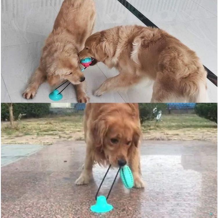 犬のおもちゃ おやつボール 噛むおもちゃ 紐付き 吸盤付き 犬用品 ペット用品 ストレス解消 トレーニング 犬グッズ 小物 雑貨 プラスナオ Paypayモール店 通販 Paypayモール