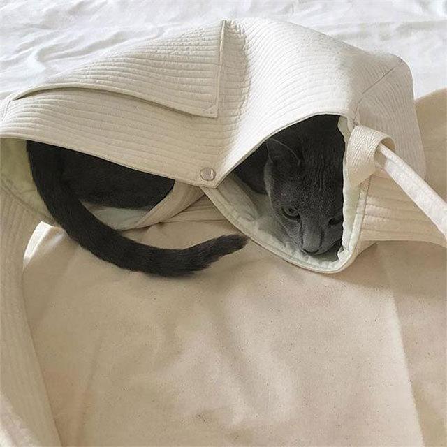 ペット用 スリング キャリーバッグ 抱っこ紐 猫 犬 ねこ いぬ 斜め掛け