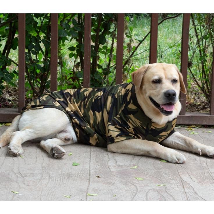 ペットウェア ドッグウェア Tシャツ カットソー 半袖 迷彩柄 犬服