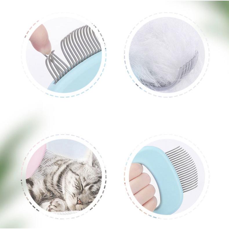 10%オフ‼️ 抜け毛取りブラシ 猫 犬 ペットコーム ペットブラシ 楽天市場】ペットブラシ 抜け毛取り ワンプッシュ グルーミング