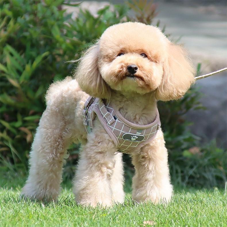 ハーネス リード 2点セット 小型犬 中型犬 イヌ 猫 ネコ ペットグッズ ペット用品 お散歩グッズ 背中開き 背中あき 反射板付き マジック テープ | plusnao | 01