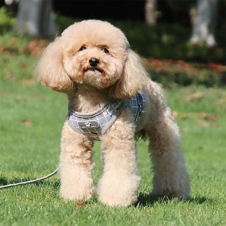 ハーネス リード 2点セット 小型犬 中型犬 イヌ 猫 ネコ ペットグッズ ペット用品 お散歩グッズ 背中開き 背中あき 反射板付き マジック テープ | plusnao | 02