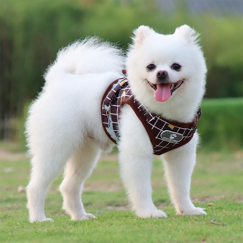 ハーネス リード 2点セット 小型犬 中型犬 イヌ 猫 ネコ ペットグッズ ペット用品 お散歩グッズ 背中開き 背中あき 反射板付き マジック テープ | plusnao | 03