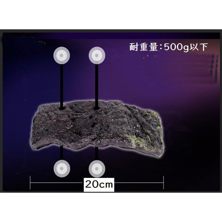 plusnao（プラスナオ） 浮島 亀用 トカゲ 水槽用レイアウト 両生類