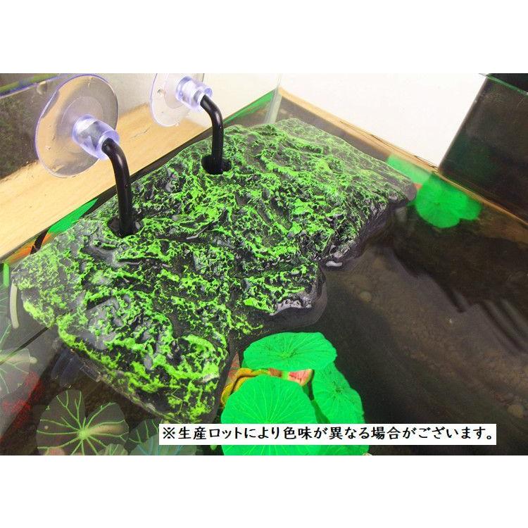 浮島 亀用 トカゲ 水槽用レイアウト 両生類 爬虫類 デコレーション