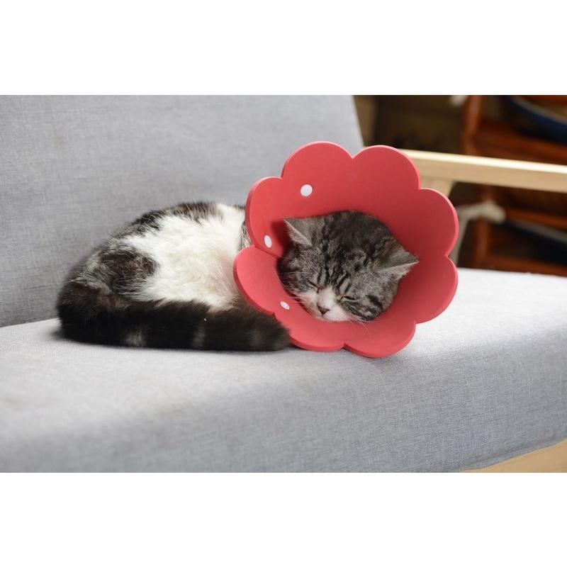 plusnao エリザベスカラー ソフト 猫用 犬 ペット用品 スナップ