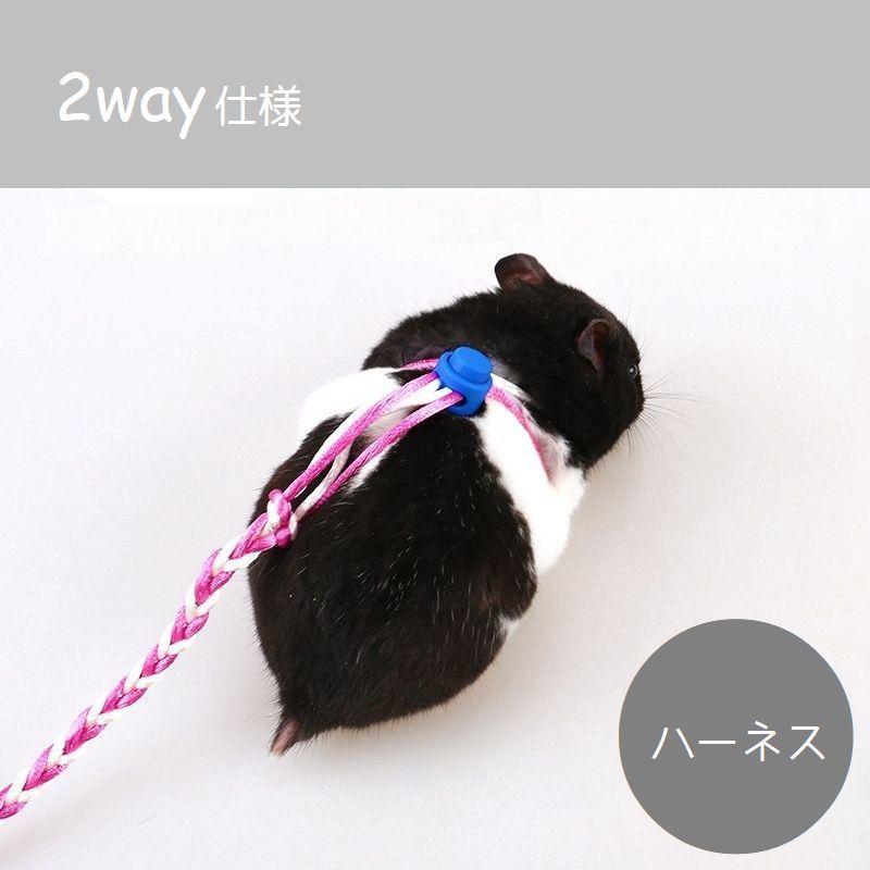 ハーネスリード 小動物用 リード一体型 胴輪 首輪 2WAY スリップリード 単色 バイカラー カラーランダム ハムスター モルモット リス モモンガ｜plusnao｜05