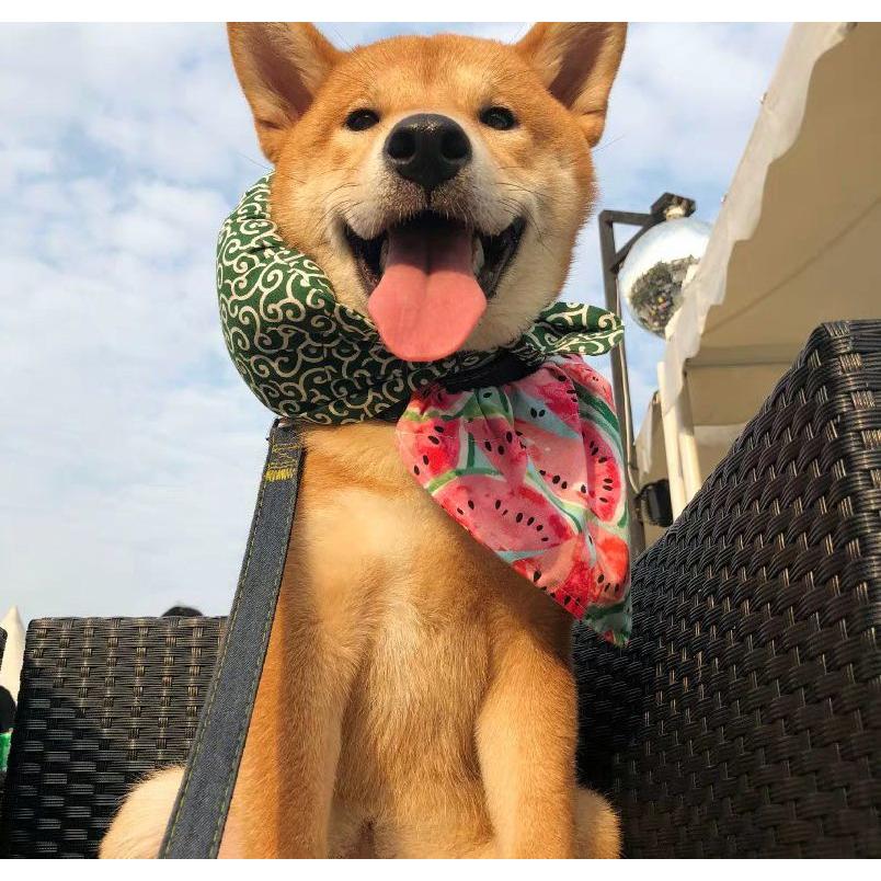 plusnao（プラスナオ） ペット用バンダナ スカーフ 首飾り 唐草模様