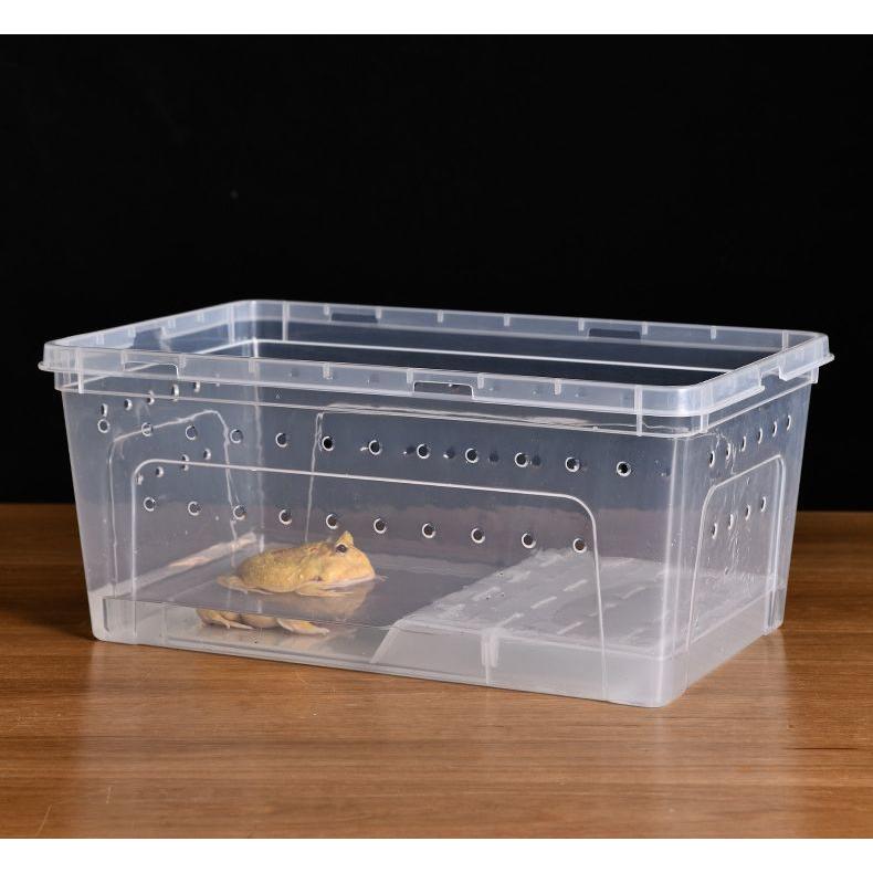 plusnao 飼育ケース プラスチックケース プラケース 両生類 plusnao 飼育ケース プラスチックケース プラケース 両生類