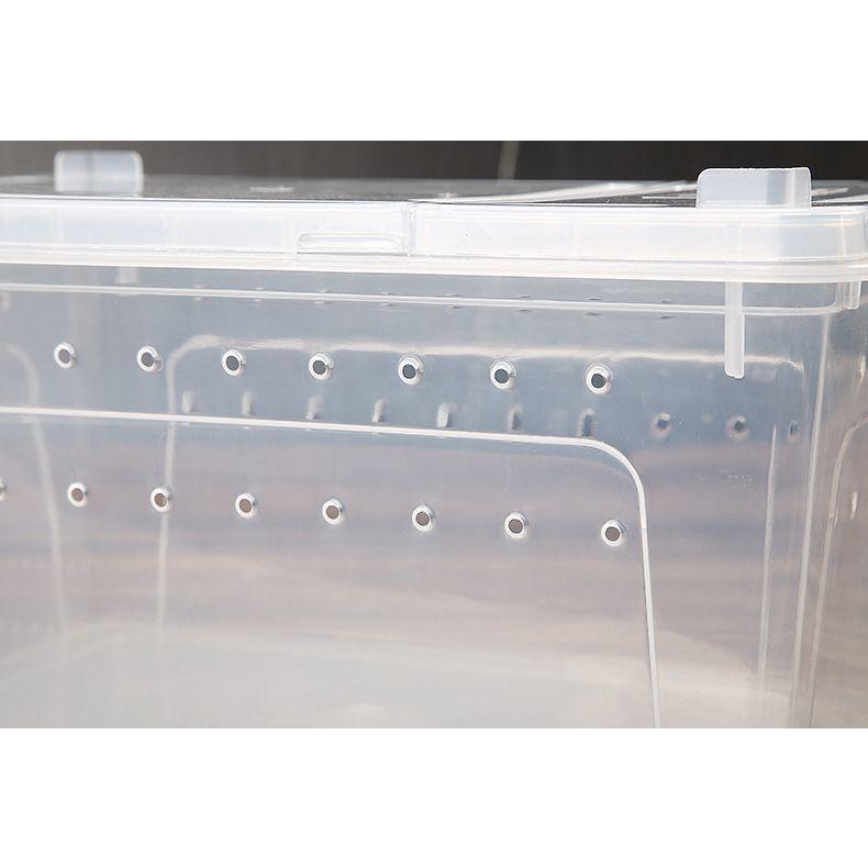 plusnao 飼育ケース プラスチックケース プラケース 両生類