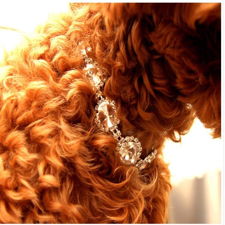 plusnao（プラスナオ） 犬用ネックレス 犬用アクセサリー 首輪 犬用