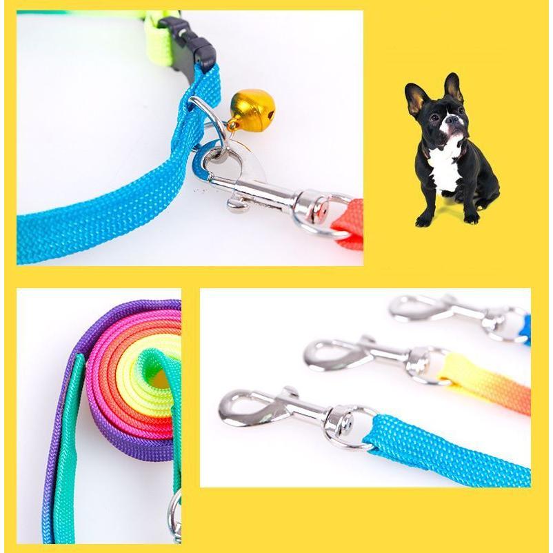 WAUDOG　QRパスポート付きナイロン製犬用首輪　リード　「フラワー」 WAUDOG QRパスポート付きナイロン製犬用首輪 リード 「フラワー