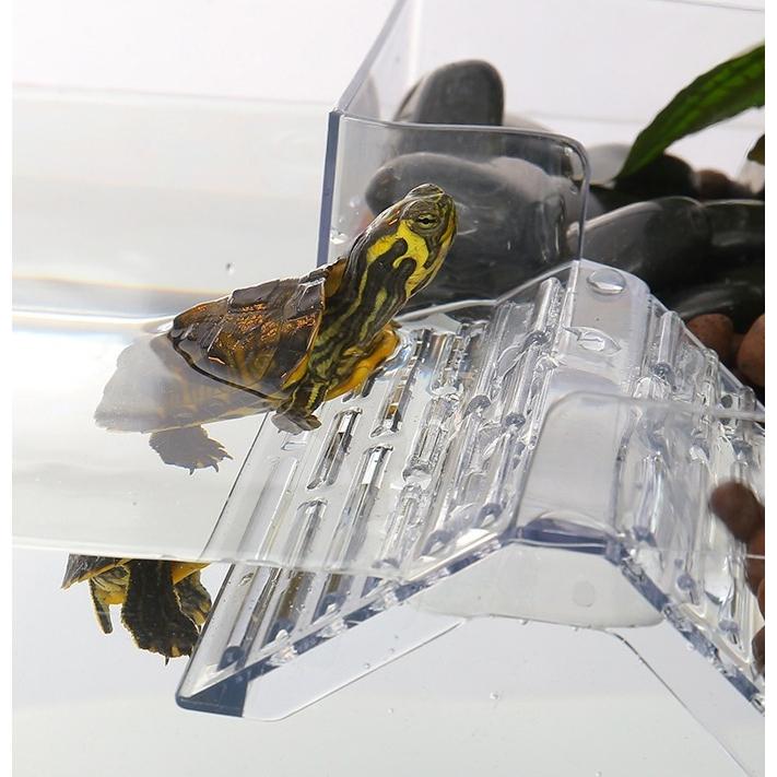 plusnao 浮島 爬虫類 水槽用 水槽引っ掛け 取り付け 水陸両用