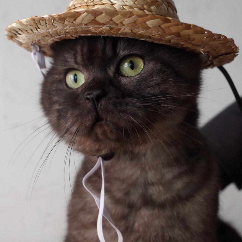 ペット用品 猫ハット 帽子 麦わら帽子 かぶりもの ネコ コスプレ CAT