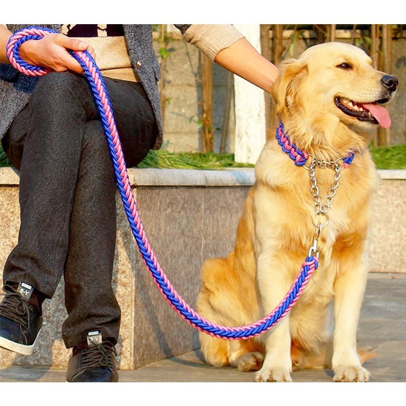 首輪 リード 2点セット 犬用 ペット用 ハーフチョーク リーシュ 1.2m