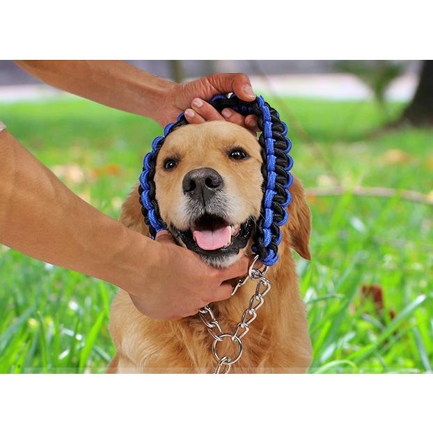 首輪 リード 2点セット 犬用 ペット用 ハーフチョーク リーシュ 1.2m