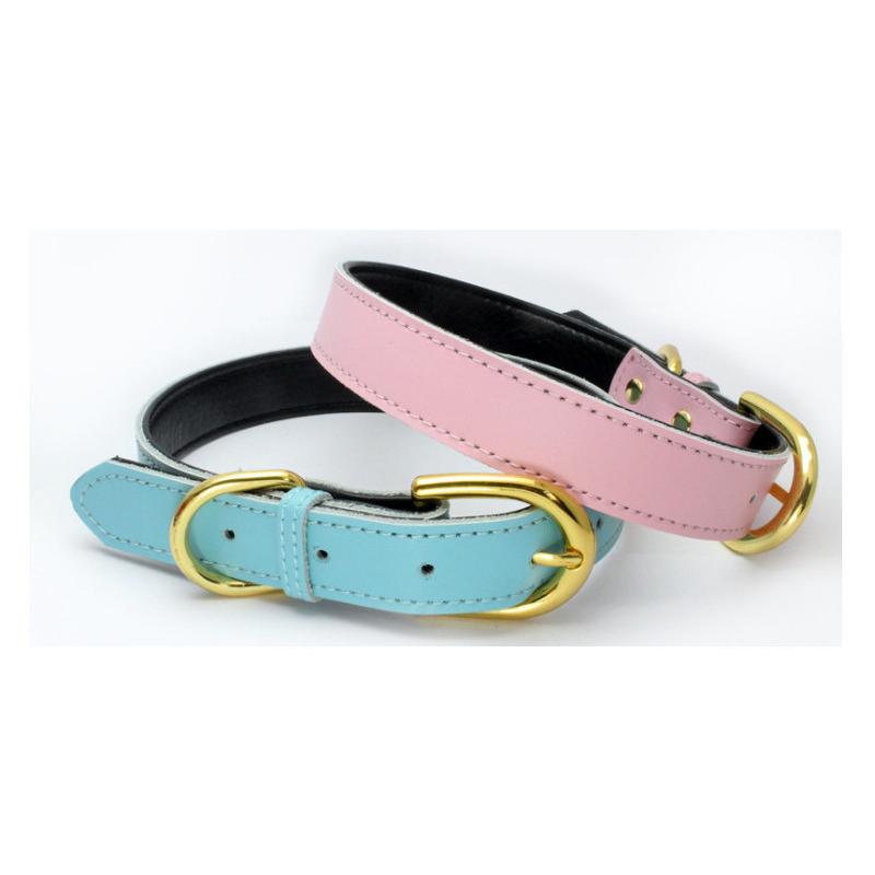 買い誠実 首輪 リード 単品 犬用 小型犬 中型犬 大型犬 猫用 ペット用品 ペットグッズ 無地 カラフル 黒 赤 茶 白 ベルト バックル フック レザー ゴ960円 Whitesforracialequity Org