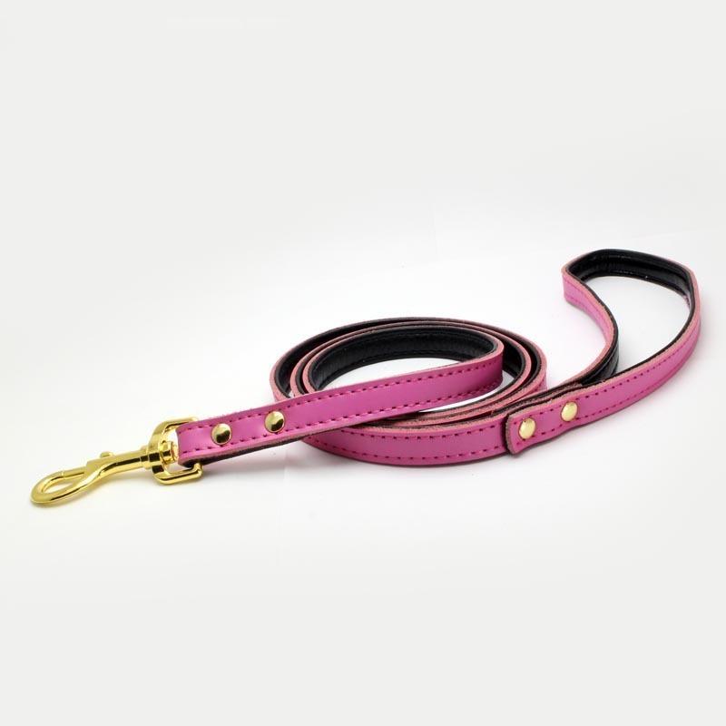 買い誠実 首輪 リード 単品 犬用 小型犬 中型犬 大型犬 猫用 ペット用品 ペットグッズ 無地 カラフル 黒 赤 茶 白 ベルト バックル フック レザー ゴ960円 Whitesforracialequity Org