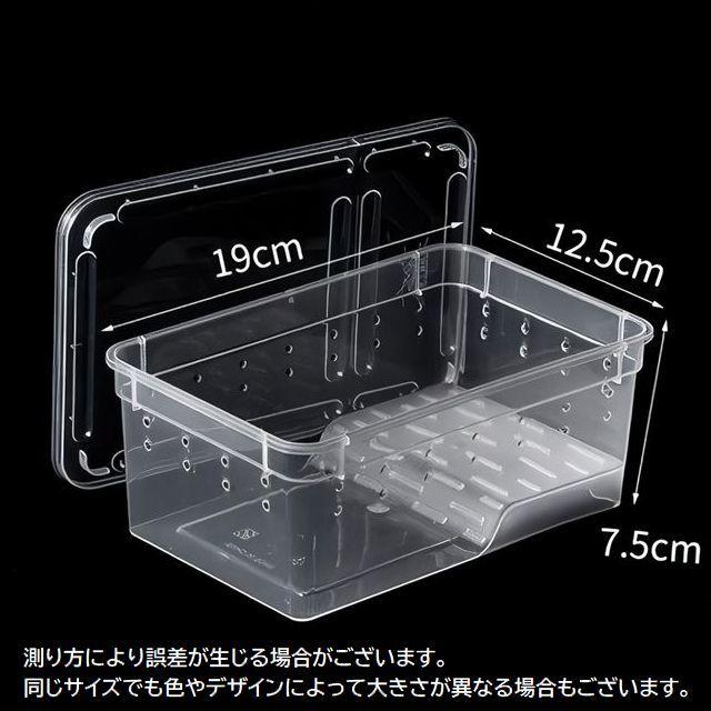 温室・飼育ケース Mip Amazon | 爬虫類飼育箱,換気された孵化