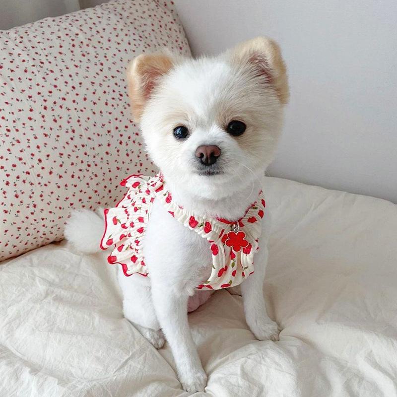 ペット用ワンピース ペットウェア 犬服 猫服 犬用ウェア ドッグウェア