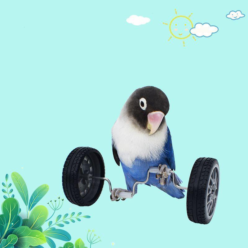plusnao 鳥用おもちゃ ペット トリ インコ 小鳥 車輪 運動 遊び plusnao 鳥用おもちゃ ペット トリ インコ 小鳥 車輪 運動 遊び