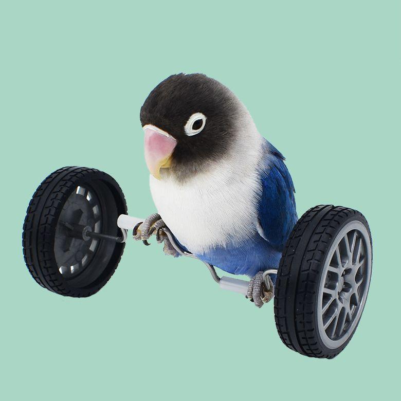 鳥用おもちゃ ペット トリ インコ 小鳥 車輪 運動 遊び道具 一人遊び