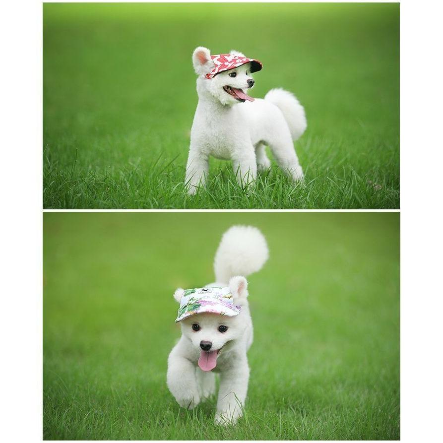 ペット用 犬用 帽子 キャップ帽 野球帽子 ドッグハット ドッグキャップ 熱中症対策 夏バテ 日射病 防止 予防 日除け 日よけ 迷彩柄 花柄 無地 プラスナオ Paypayモール店 通販 Paypayモール