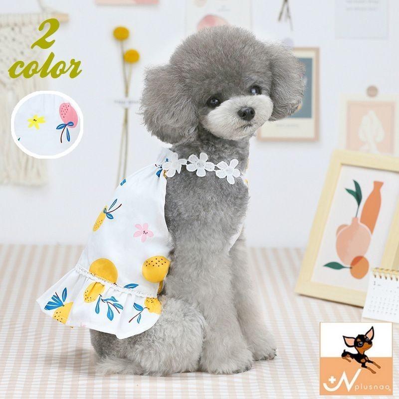 ペットウェア ドッグウェア お出かけ お散歩 オレンジ キャットウェア キャミソール シトラス690円 フリル レース ワンピース 小型犬 犬服 猫服 袖なし 最高 キャットウェア