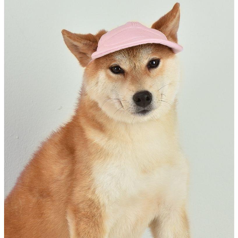 ペット用帽子 キャップ つば付き 犬 ドッグ 耳穴付き サイズ調整 あごベルト サンバイザー おしゃれ かわいい お散歩 日よけ 熱中症対策 小型犬 プラスナオ Paypayモール店 通販 Paypayモール